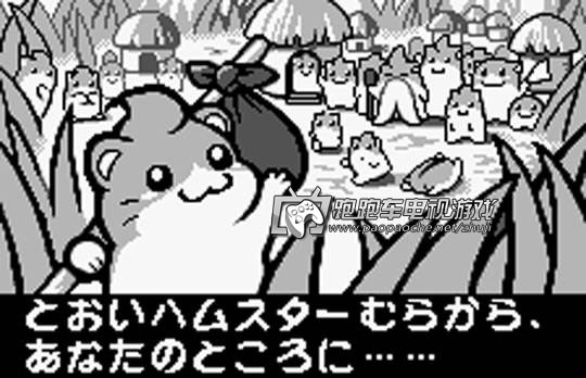 WSC哈姆太郎