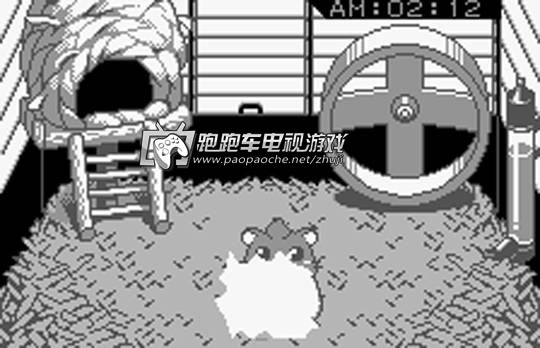 WSC哈姆太郎