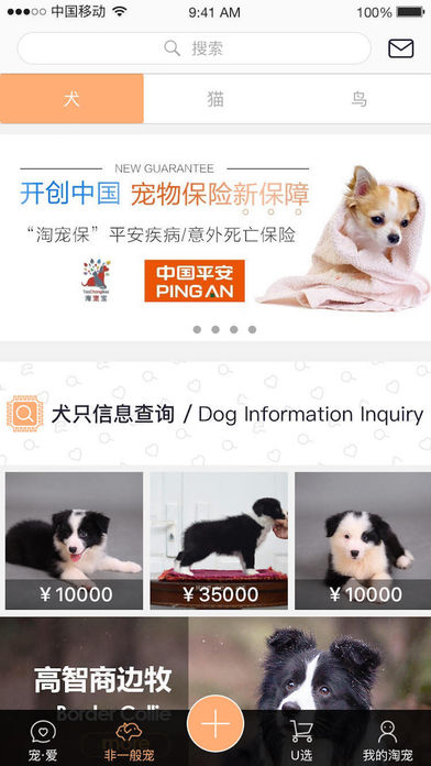 淘寵寶iphone版