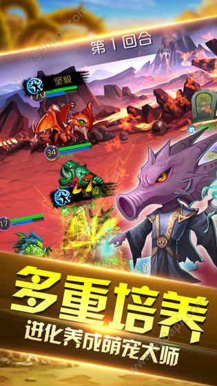 暴風王城無限修改版