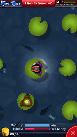 口袋青蛙(Pocket Frogs)