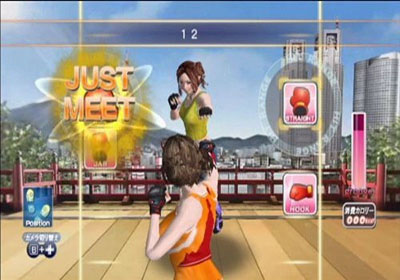 Wii有氧拳擊2