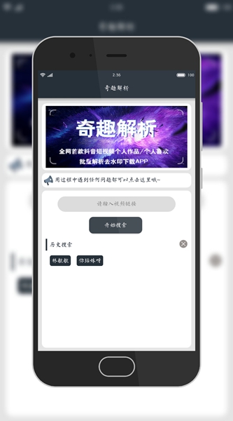 奇趣解析