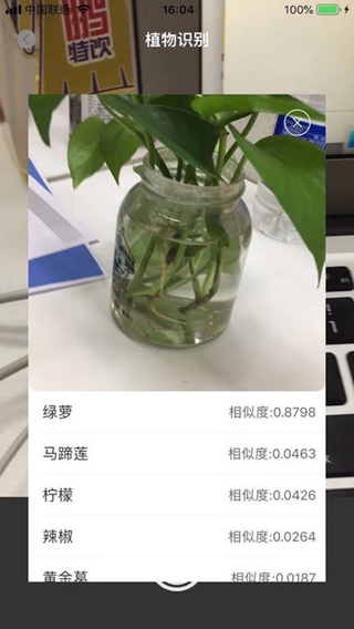識(shí)圖iPhone/iPad版