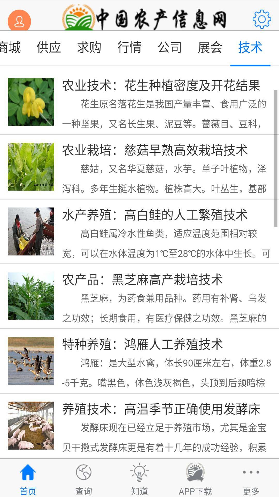 农产信息网