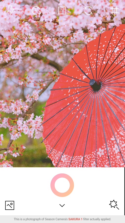 春天相機(jī)(Spring)