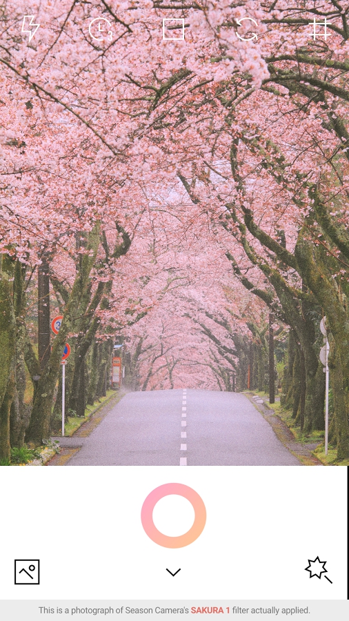 春天相機(jī)(Spring)