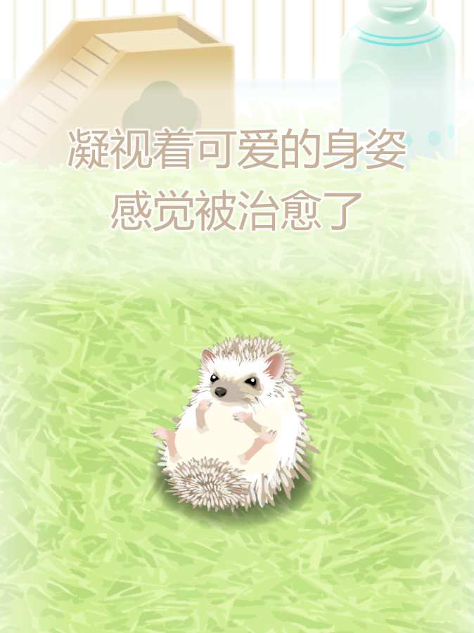 治愈的猬育成游戲完整版(Hedgehog)