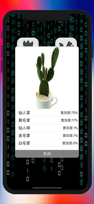 慧眼识图iPhone/iPad版