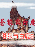 苍狼与白鹿5