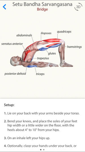 3D Yoga Anatomy