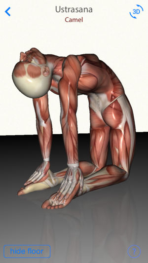 3D Yoga Anatomy