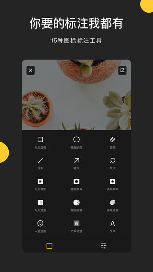 Pico iPhone/iPad版