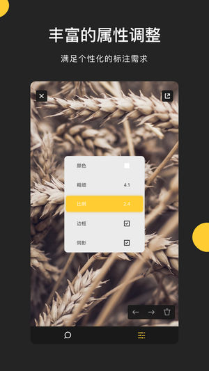 Pico iPhone/iPad版