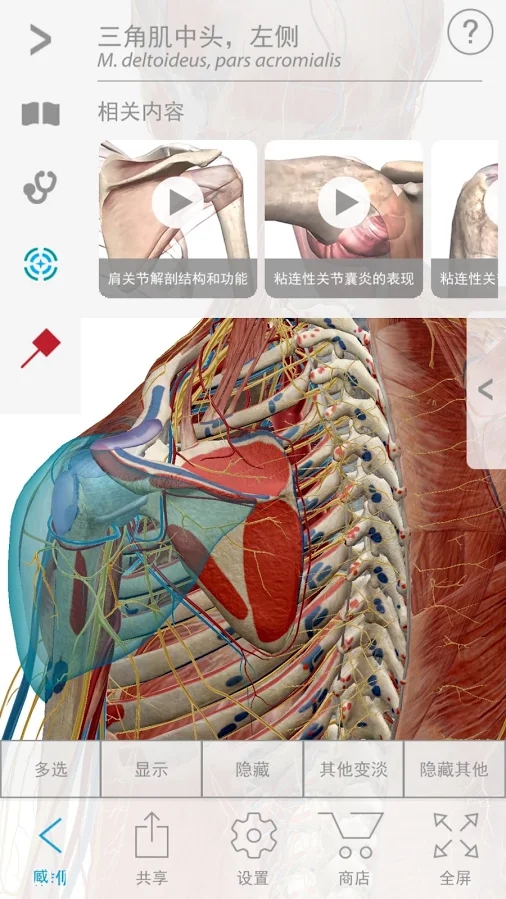 Muscle Premium中文版