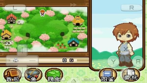 NDS牧场物语:双子村